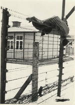 Anonymous - Death on electric barbed wire fence in Mauthausen