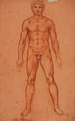 Leonardo da Vinci - Standing male nude