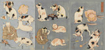 Kuniyoshi, Utagawa (Ichiyusai) - Tatoe zukushi no uchi (Illustrated Proverbs with Cats)