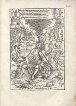 Oeglin, Erhard (Erhart) - Apollo on Parnassus. From: Melopoiæ sive Harmoniæ tetracenticæ