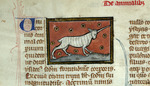 Anonymous - Unicorn (Initial). Liber de natura rerum