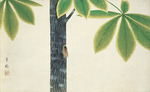 Omoda, Seiju - Cicada