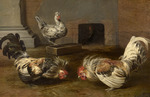 Snyders, Frans - Fighting Cocks