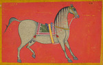 Anonymous - A stallion
