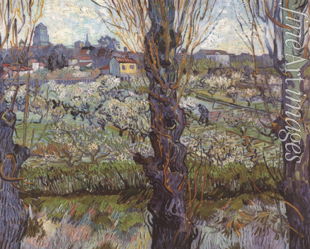 Gogh Vincent van - Orchard in Blossom with View of Arles