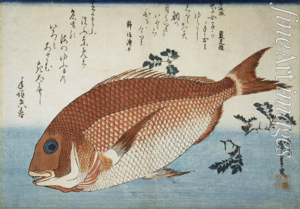 Hiroshige Utagawa - Goldbrasse