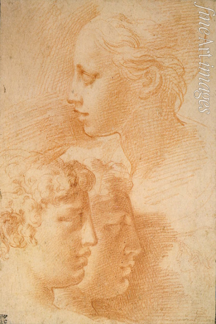 Parmigianino - Studie der Köpfe