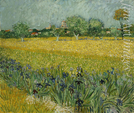 Gogh Vincent van - Feld mit Blumen in der Nähe von Arles