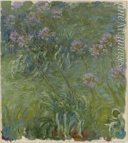 Monet Claude - Agapanthus