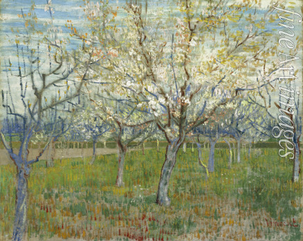 Gogh Vincent van - Rosa Obstgarten