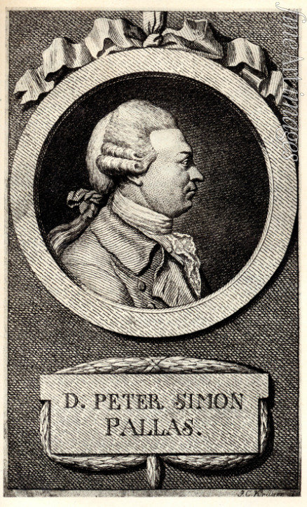 Unbekannter Künstler - Porträt von Naturforscher und Geograph Peter Simon Pallas (1741-1811)