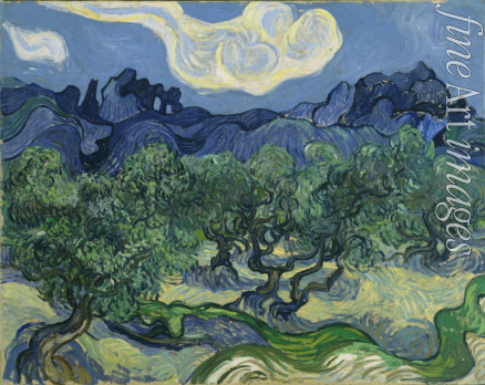 Gogh Vincent van - Olivenbäume