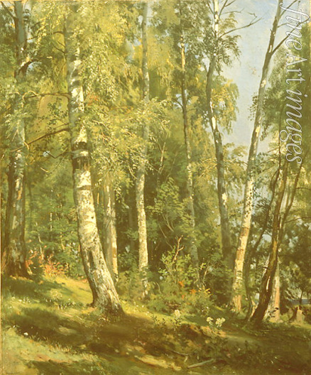 Shishkin Ivan Ivanovich - Birch grove