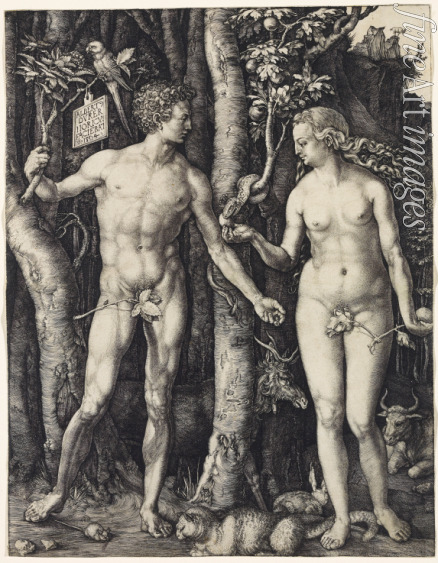 Dürer Albrecht - Adam and Eve