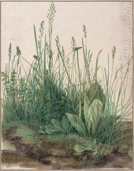 Dürer Albrecht - Das große Rasenstück