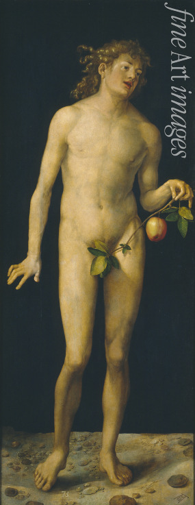 Dürer Albrecht - Adam