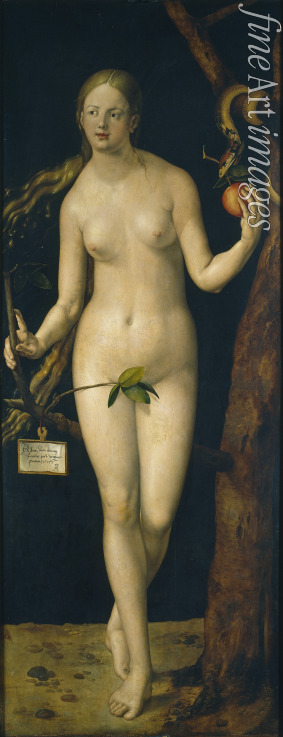 Dürer Albrecht - Eva