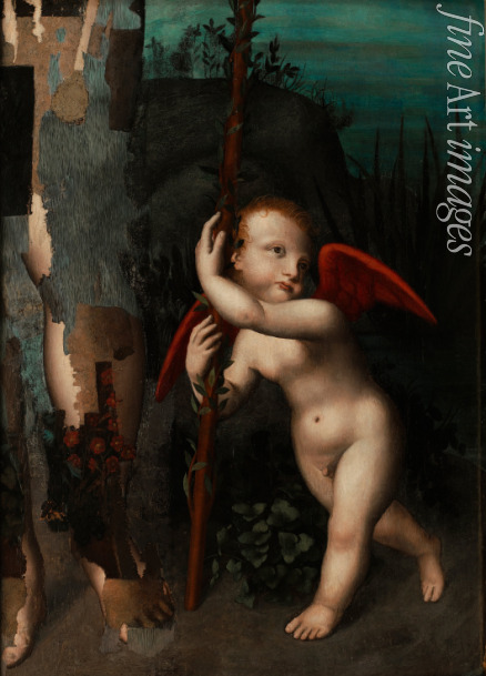 Luini Aurelio - Cupid with a myrtle