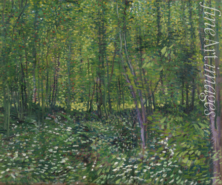 Gogh Vincent van - Bäume und Unterholz