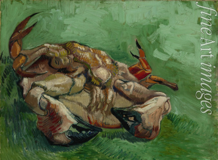 Gogh Vincent van - Krebs, auf dem Rücken liegend