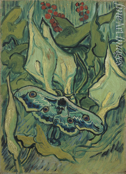 Gogh Vincent van - Green Peacock Moth (The Emperor Moth)