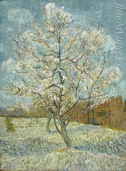 Gogh Vincent van - Blühender Pfirsischbaum