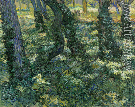 Gogh Vincent van - Unterholz