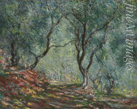 Monet Claude - Bois d'oliviers au jardin Moreno
