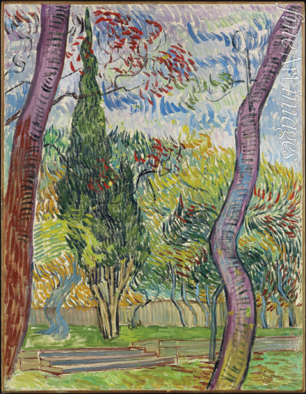 Gogh Vincent van - Parc de l'hôpital Saint-Paul