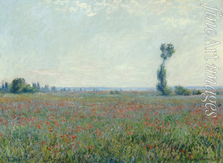 Monet Claude - Poppy field