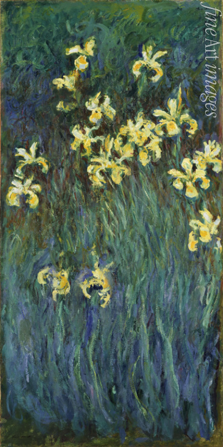 Monet Claude - Gelbe Irise