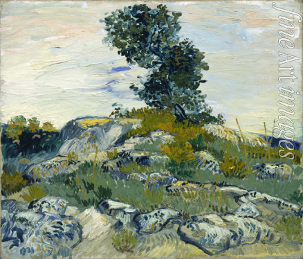 Gogh Vincent van - Das Gestein