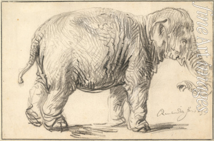 Rembrandt van Rhijn - Ein Elefant
