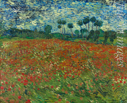 Gogh Vincent van - Mohnfeld