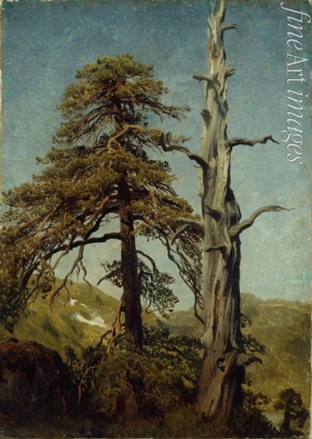 Cappelen August - Bäume (Studie)