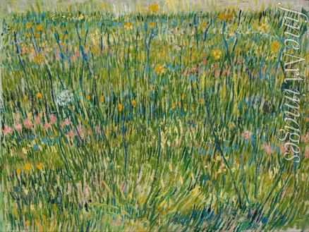 Gogh Vincent van - Rasenstück