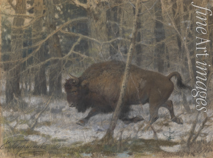Tichmenev Evgeny Alexandrovich - The wood bison