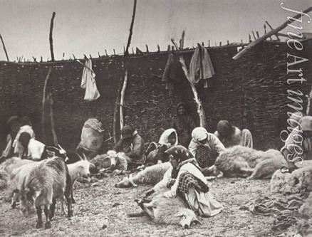 Boldyrev Ivan Vasilyevich - Sheep shearing