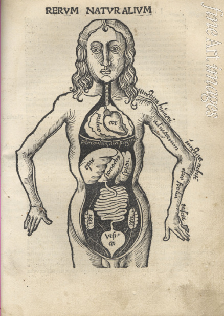 Reisch Gregor - Margarita Philosophica. Anatomy