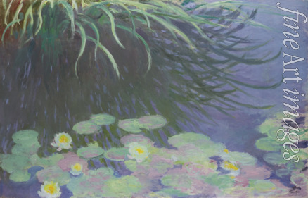 Monet Claude - Nymphéas avec reflets de hautes herbes