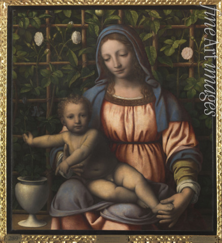 Luini Bernardino - Madonna im Rosengarten (Madonna del Roseto)