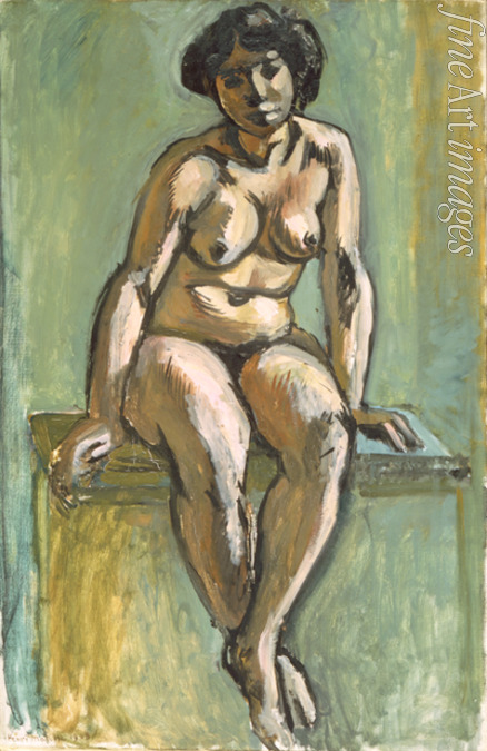 Matisse Henri - Sitzender Frauenakt