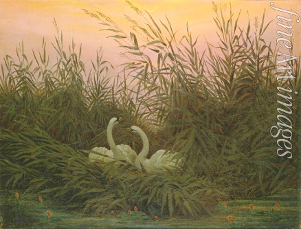 Friedrich Caspar David - Swans in the Reeds