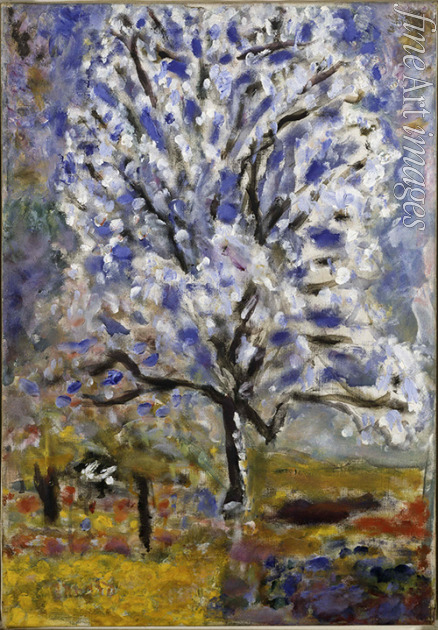 Bonnard Pierre - L'amandier en fleurs (Der Mandelbaum in voller Blüte)