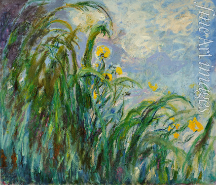 Monet Claude - Yellow irises