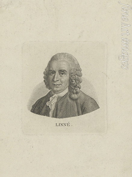 Anonymous - Portrait of Carl Linnaeus (1707-1778)