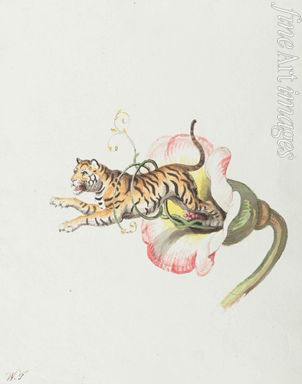 Tischbein Johann Heinrich Wilhelm - Tiger, aus einer Blütenkrone springend. Allegorie auf Blumensamen