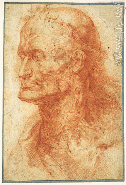 Rubens Pieter Paul - Studienkopf eines alten Mannes