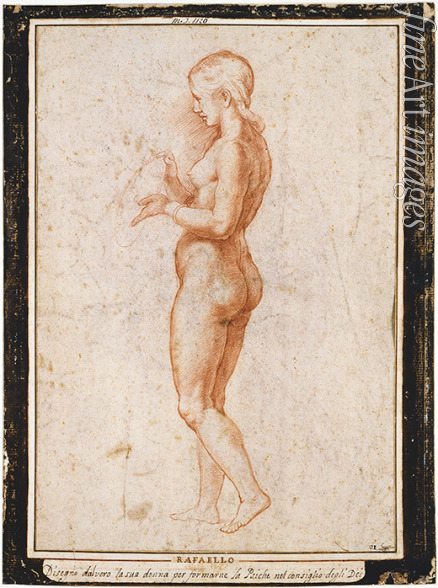 Raffael (Raffaello Sanzio da Urbino) (Werkstatt) - Junge weibliche Figur im Profil