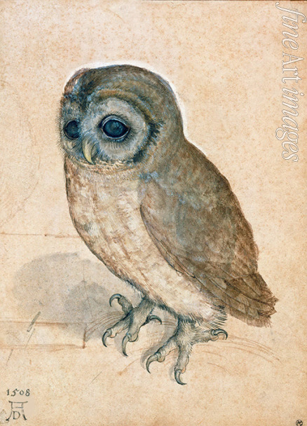 Dürer Albrecht - Little Owl
